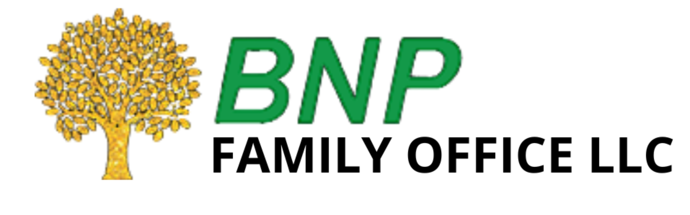 BNP Family Office